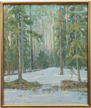 Alfred Jansson, Winter landscape.