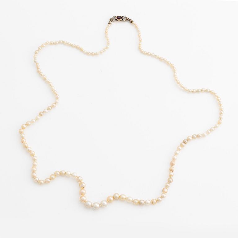 Pärlcollier, med doserade pärlor, lås guld med två gammalslipade diamanter och rubin.