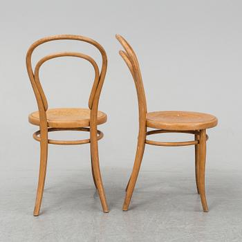 STOLAR, 6 st, Thonet, 1900-talets början.