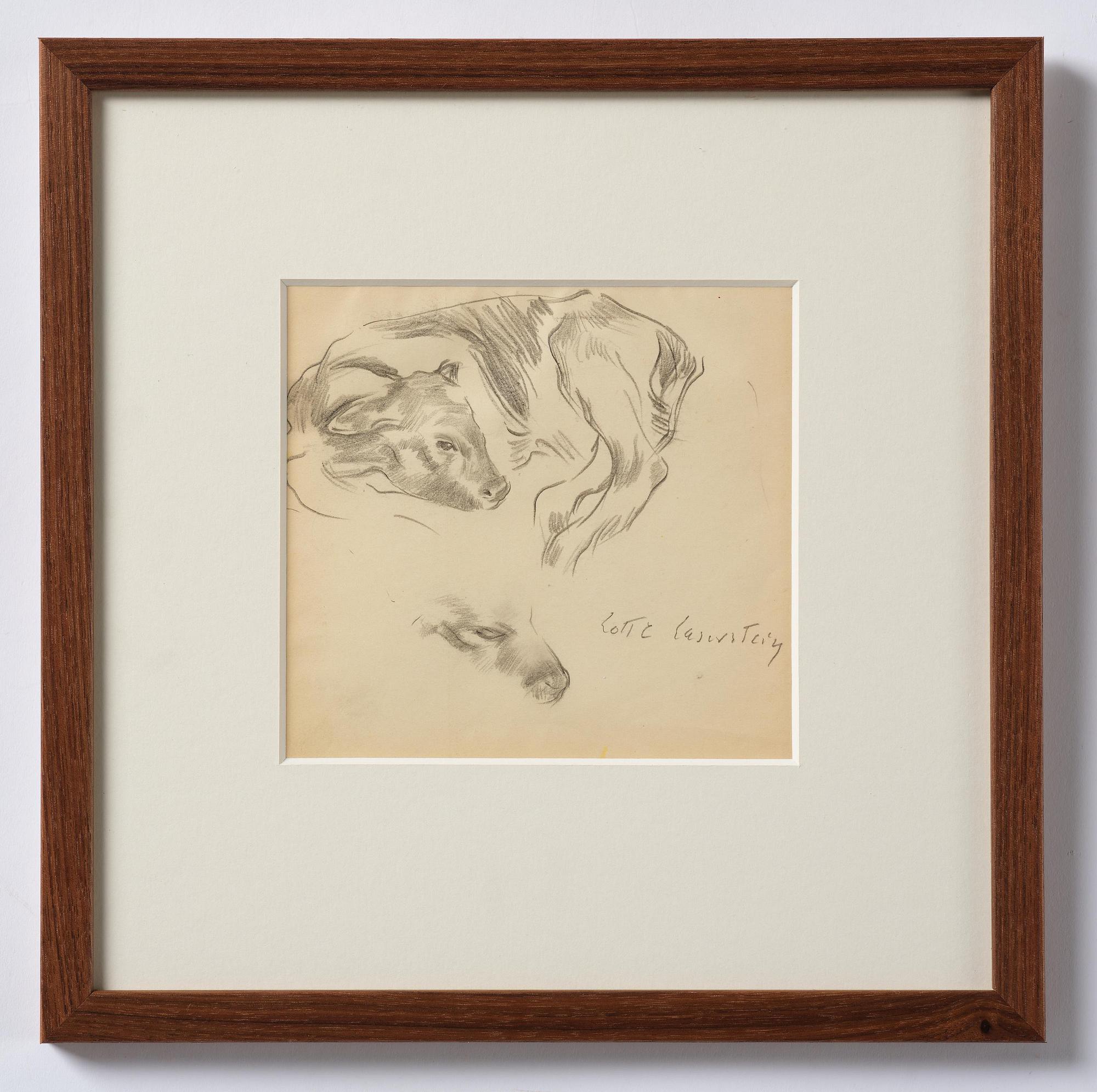Lotte Laserstein, Study of a calf.