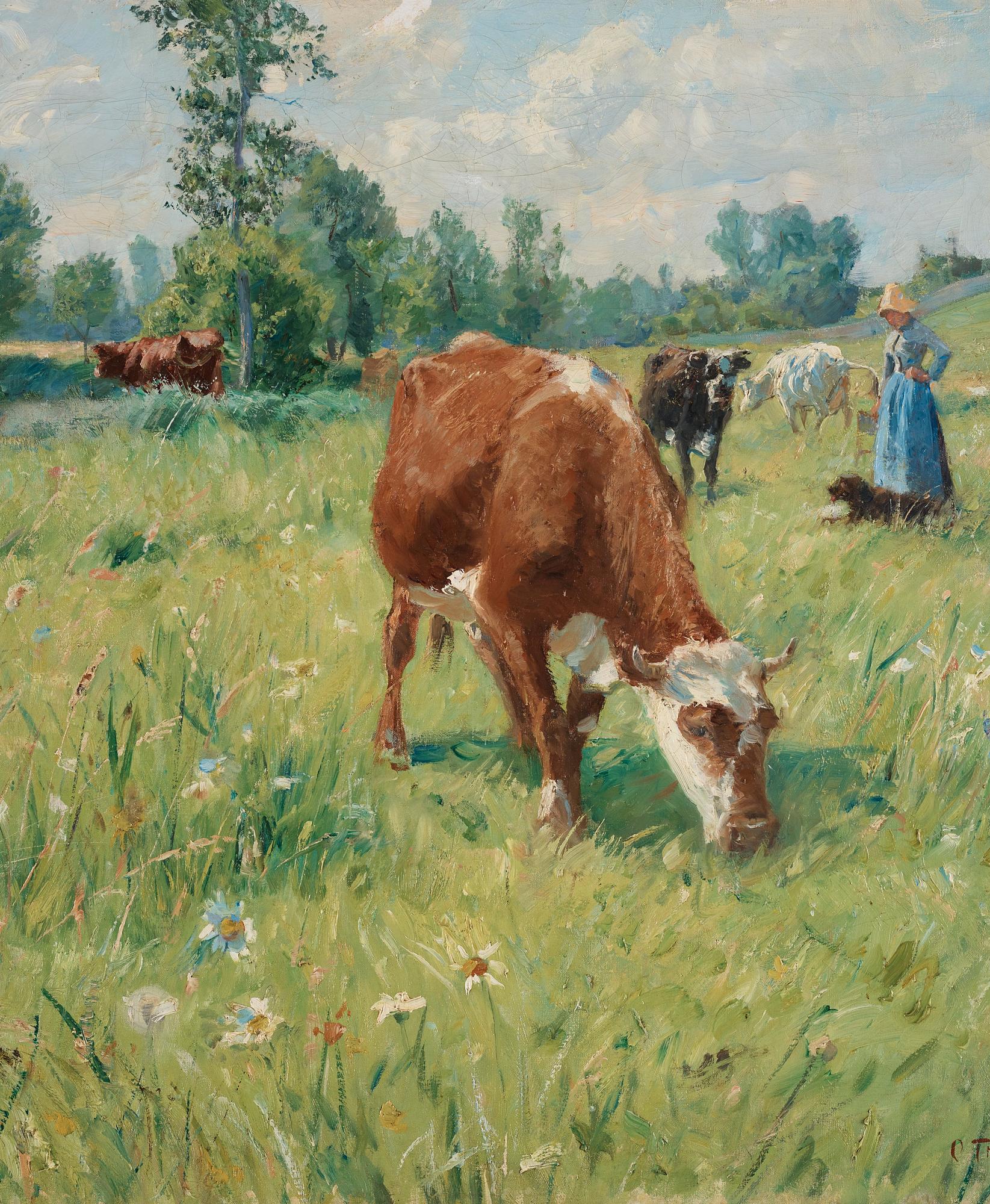 Carl Trägårdh, Grazing cattle.
