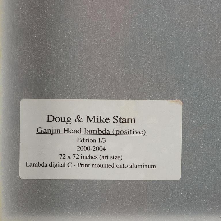 Mike & Doug Starn (Starn Twins), "Ganjin Head Lambda (positive)", 2000-2004.