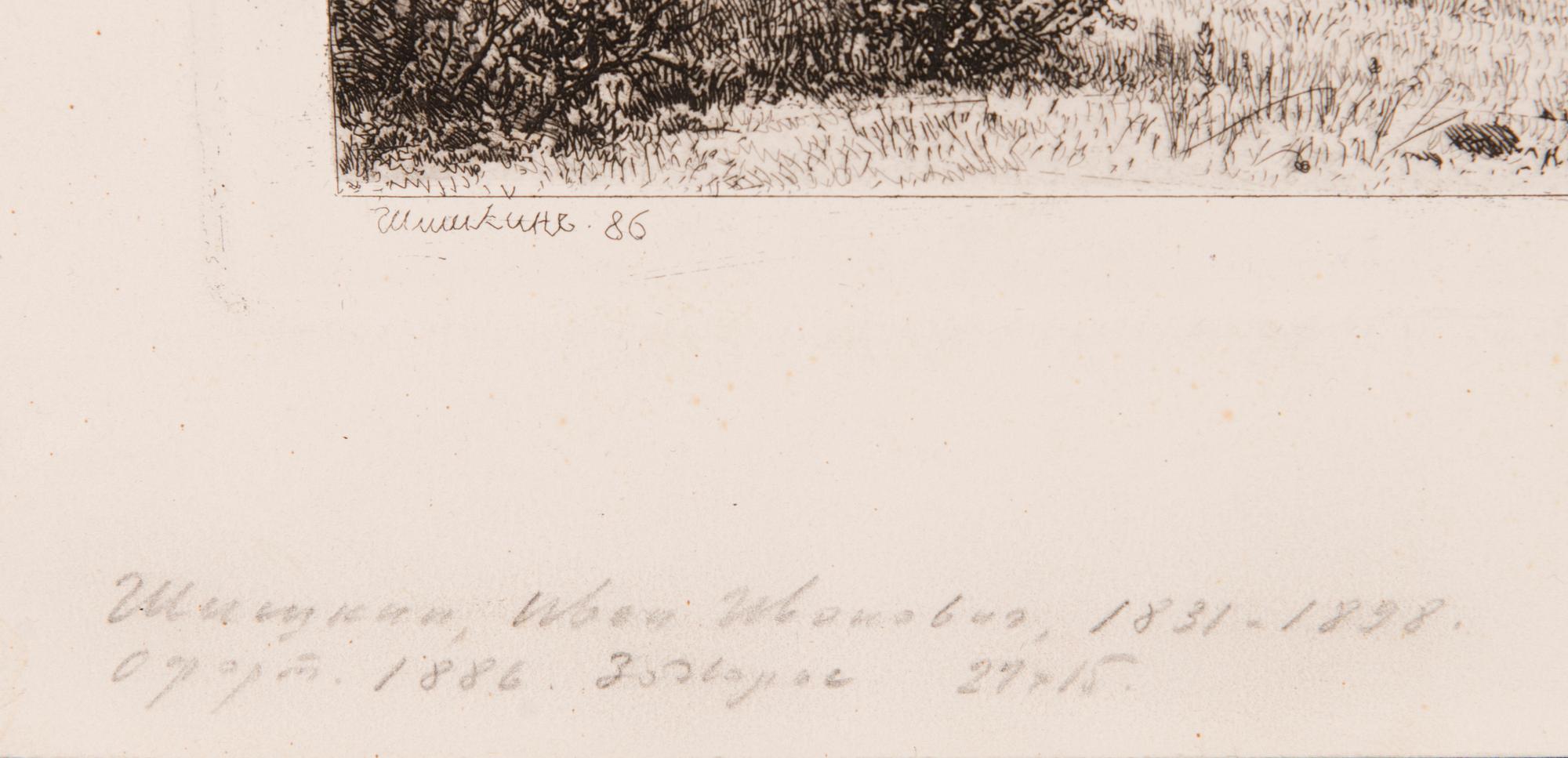 IVAN IVANOVITCH SHISKIN, etching, signed and dated -86, in the print.