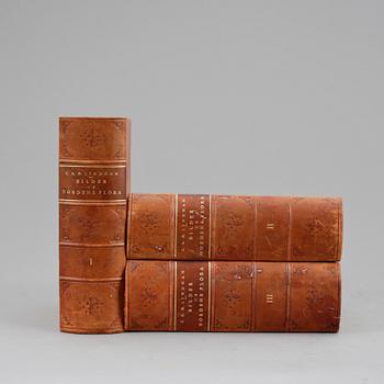 BÖCKER, 3 vol, "Bilder ur Nordens Flora" av CAM Lindman, 1922 och 1925.
