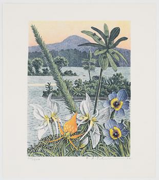 Bibliophile editions with original graphics – 4 volumes.