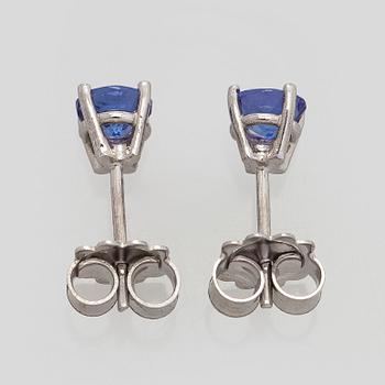 Korvakorut, 18K valkokultaa ja tanzaniitteja.