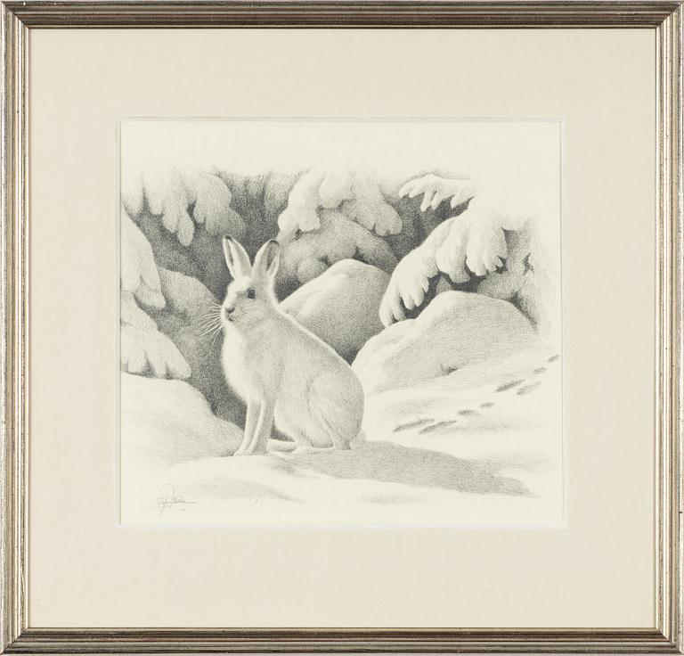 Staffan Ullström, Vinterhare.