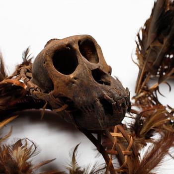 ETNOGRAFIKA, 4 delar, Amerika, 1900-tal.