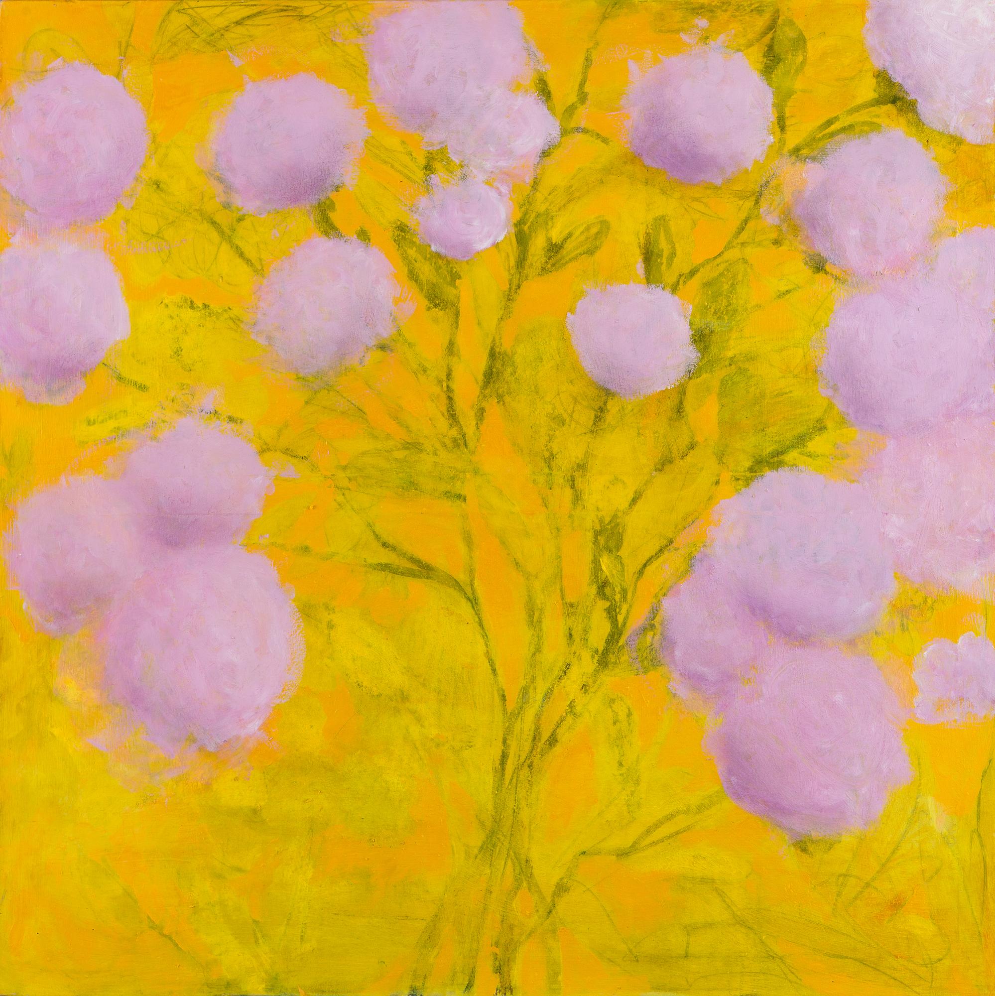 Joona Ijäs, "Where Light Blooms".