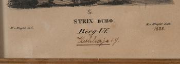 FÄRGLITOGRAFI, Wilhelm von Wright, ur verket "Svenska Foglar", daterad 1828, numrerad 4/10. M. v. Wright Lith.