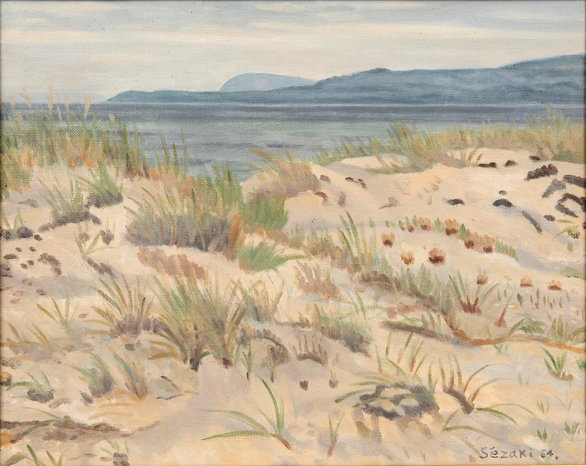 Haruo Sezaki, Kivik, towards Stenshuvud.