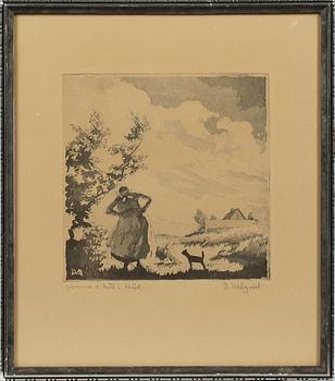 DAVID AHLQVIST, etsning, sign,