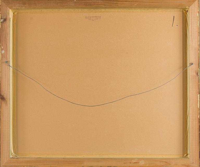 Tyko Sallinen, Landscape.