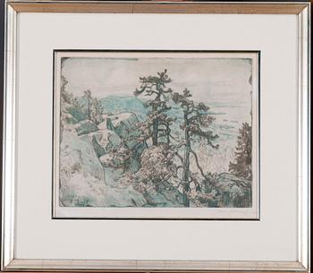 Eero Järnefelt, VIEW OVER KOLI.