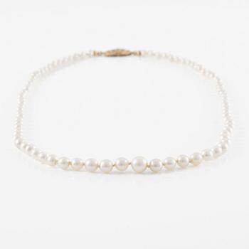 Pärlcollier, doserat med odlade pärlor, med lås i 18K guld.