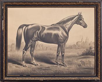 OKÄND KONSTNÄR, kolteckning, bär signatur Aug Alvén, 1898.