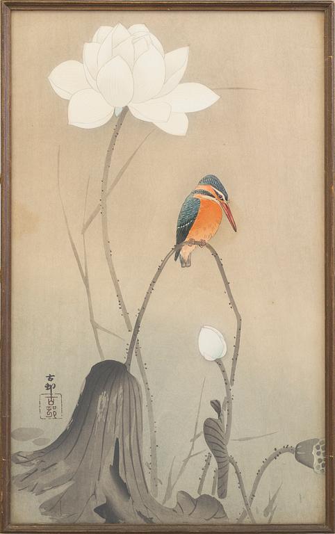 KOSON OHARA (1877-1945), färg träsnitt. Japan, "fågel".