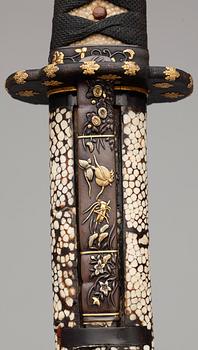 WAKIZASHI, Japan, trol shinto/shinshinto, 1600/1700-tal.