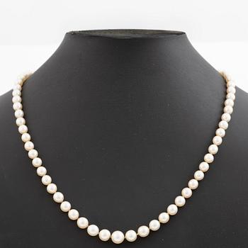 Necklace with graduated cultured pearls, clasp in 14K white gold set with old-cut diamonds.