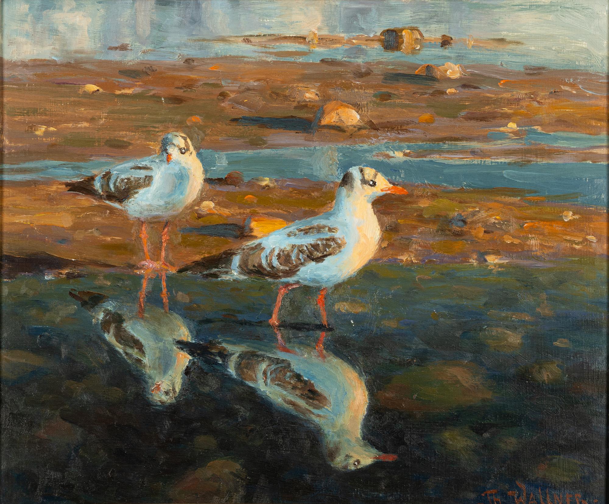 Thure Wallner, Unga Skrattmåsar.