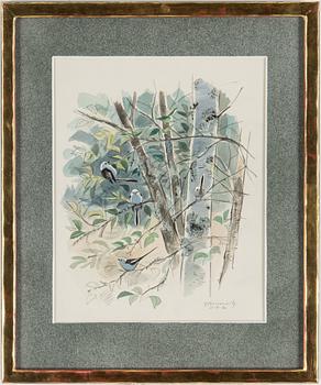 GUNNAR BRUSEWITZ, watercolour and pencil on paper, signed GBrusewitz and dated -71.