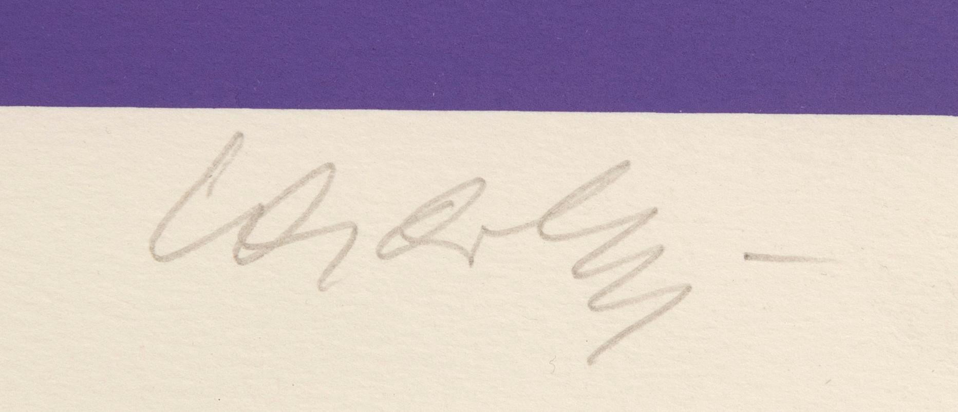 Victor Vasarely, Optisk komposition.