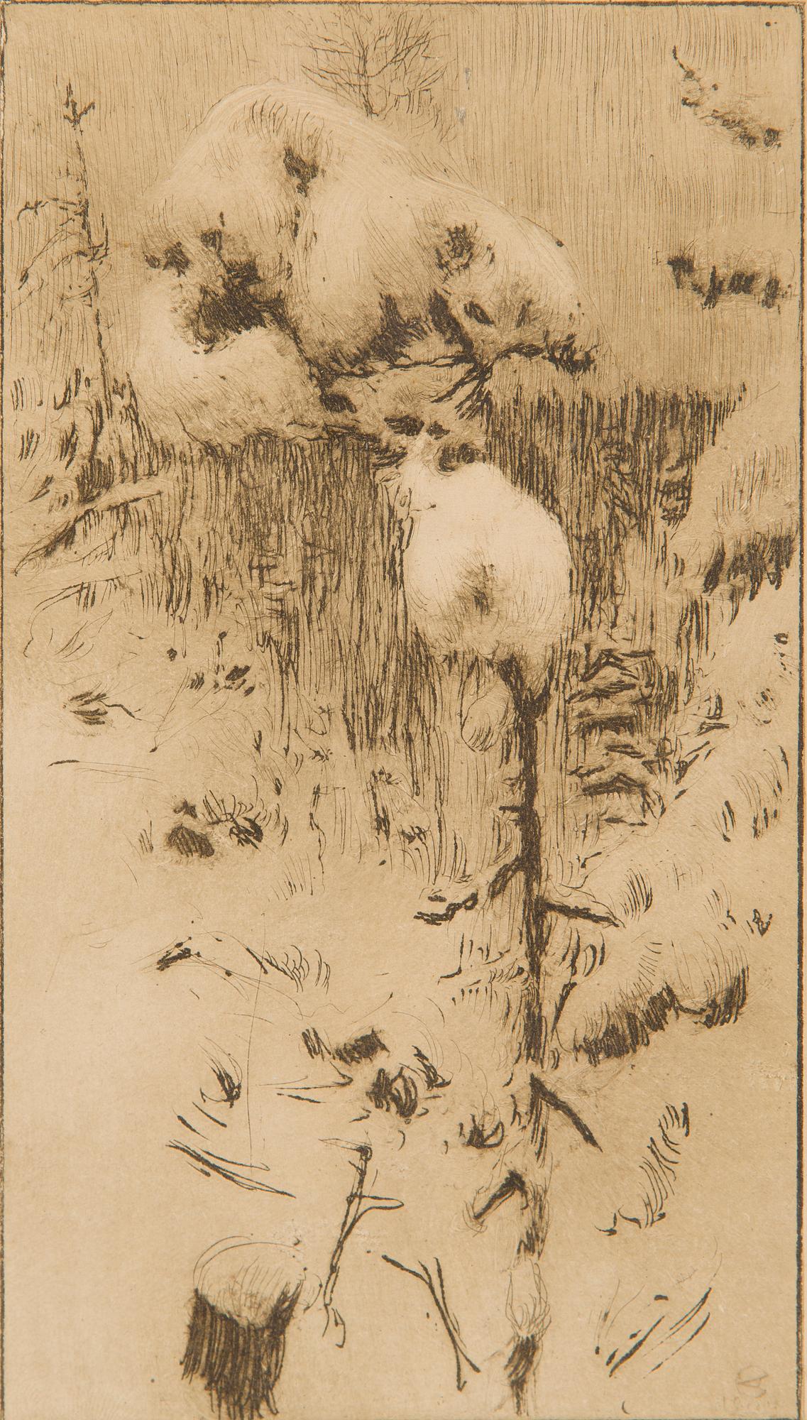 Akseli Gallen-Kallela, Luminen mänty.