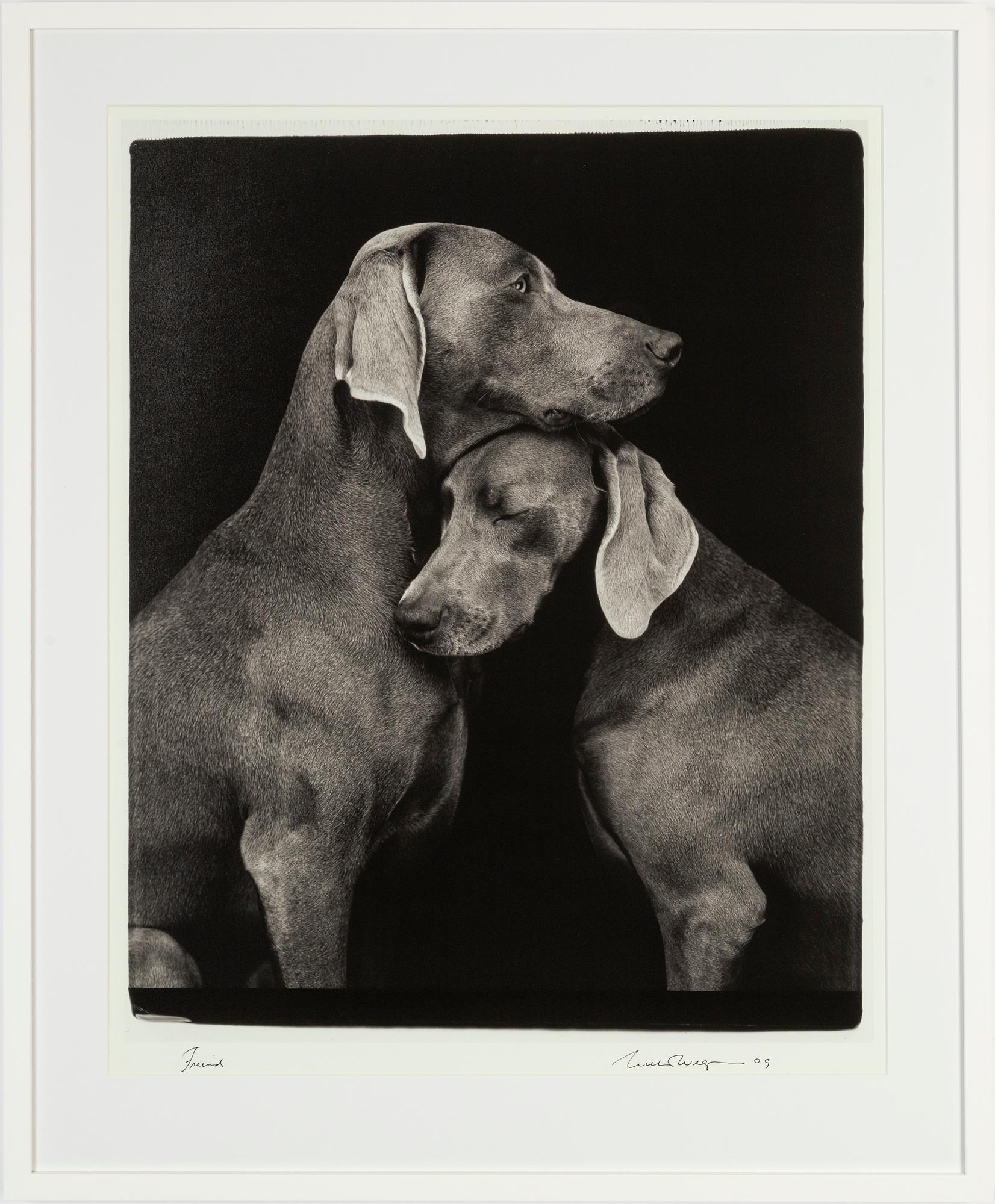 William Wegman, archival pigment print, 2009, signerat. Numrerat 113/1500 a tergo.