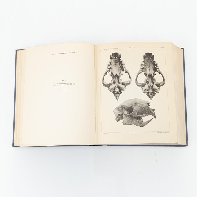Yngve Sjöstedt, Zoologische Kilimandjaro-Meru Expedition 1905-1906, 3 volumes, P.Palmqvists Aktiebolag Stockholm, 1910.