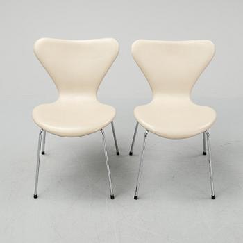Arne Jacobsen, stolar, 6 st, "Sjuan", Fritz Hansen, Danmark.