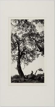 Pentti Sammallahti, "Swayambhunath, Nepal, 1994".
