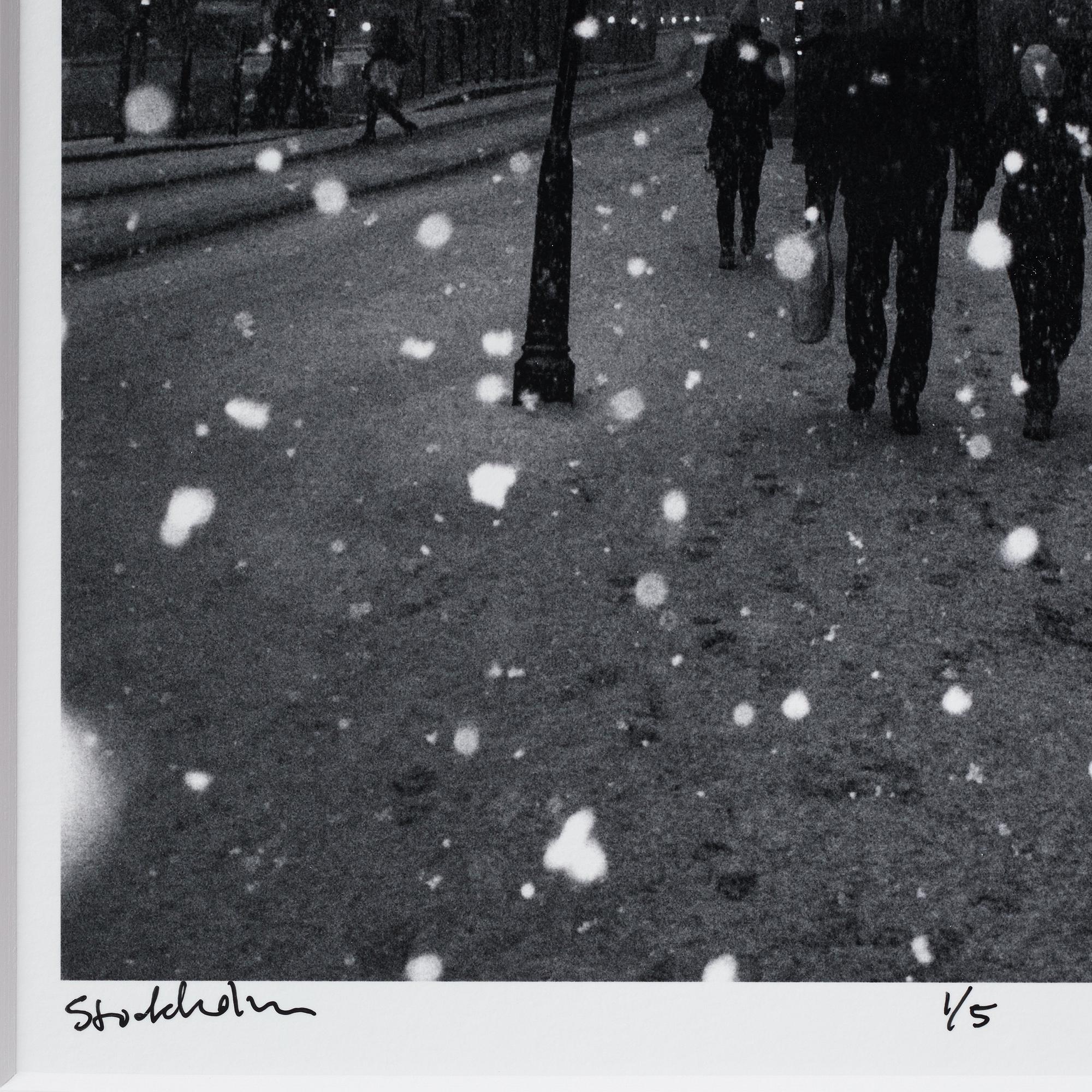 Cato Lein, "Stockholm", 2017.
