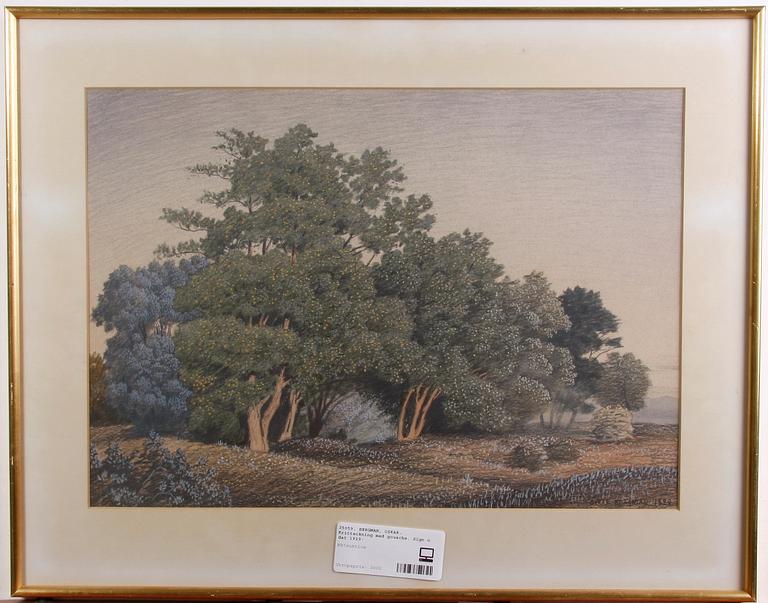 BERGMAN, OSKAR. Kritteckning med gouache. Sign o dat 1929-.