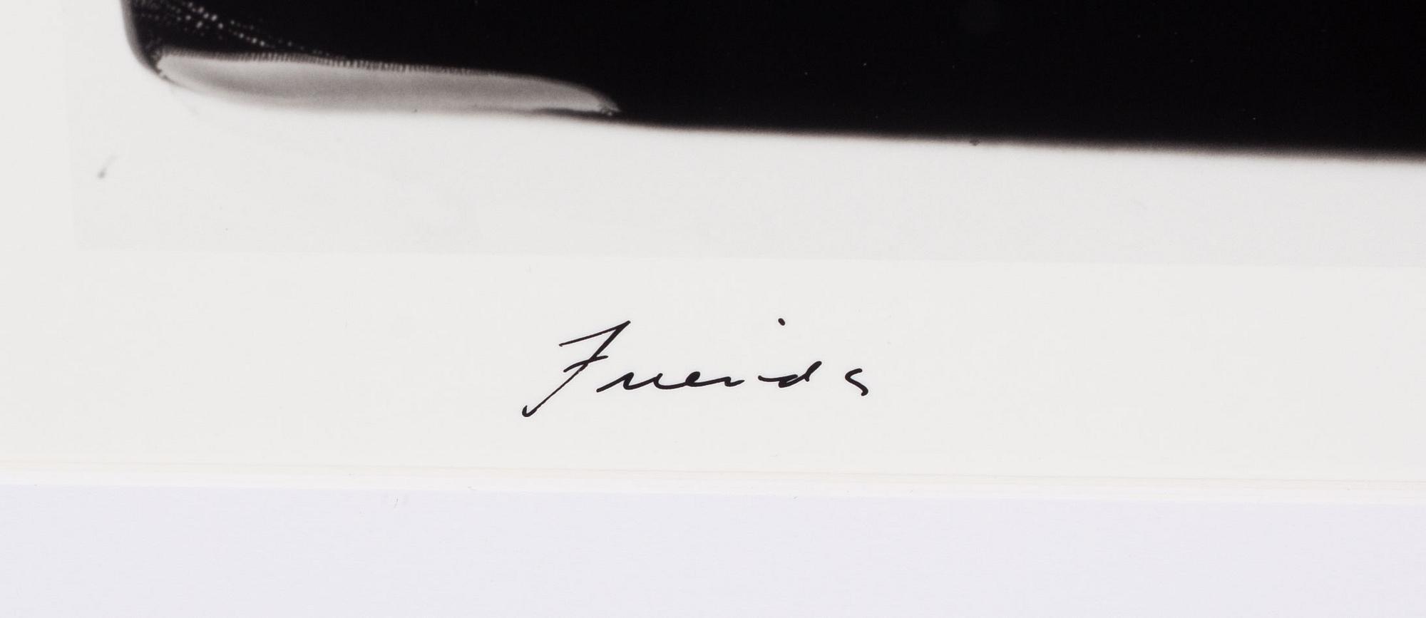 William Wegman, "Friends".