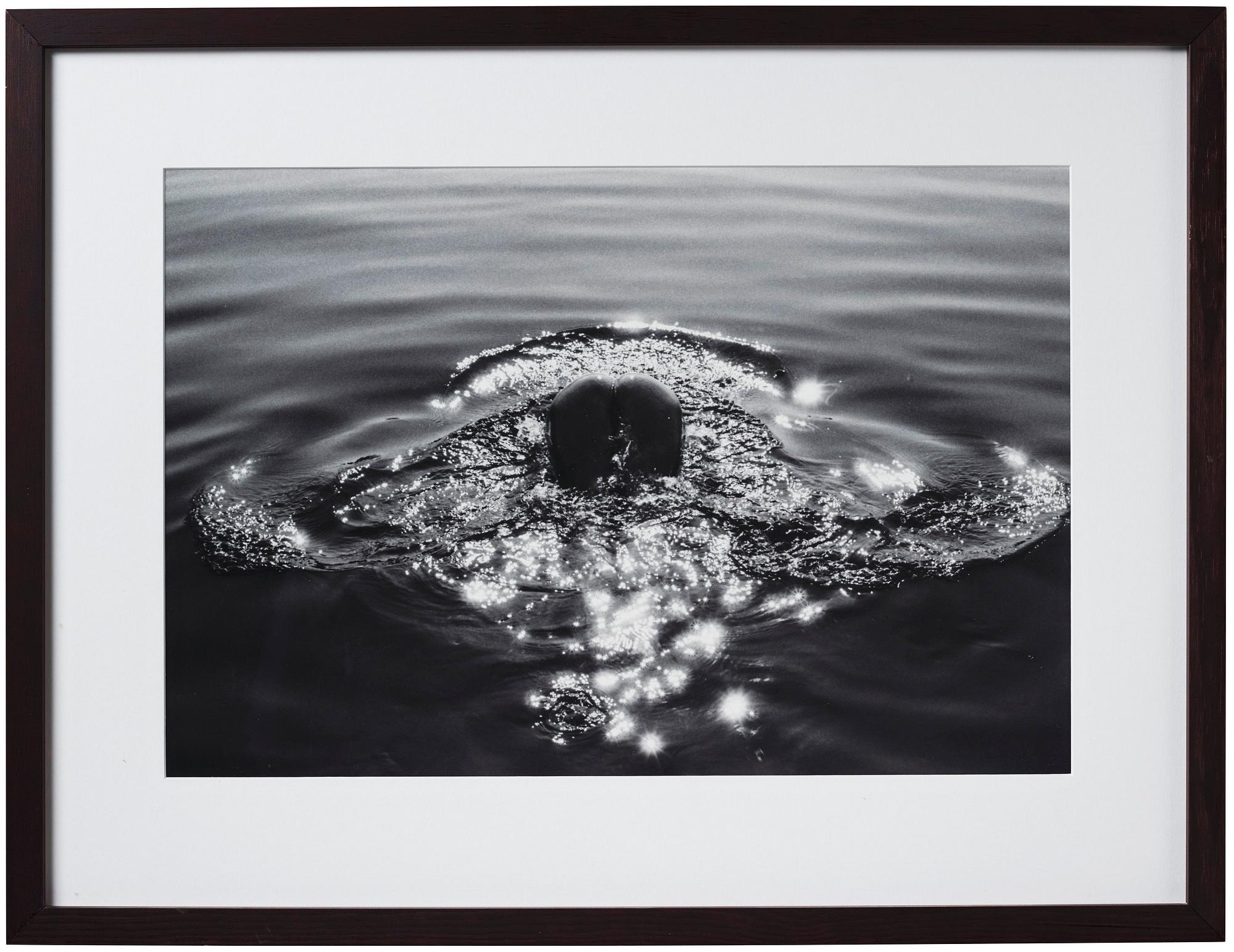 Katja Kremenic, "Bonanza on Adriatic", 2013.
