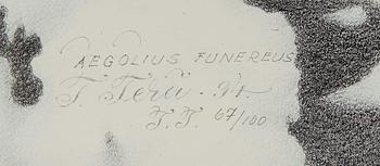 TEPPO TERÄ, litografi, märkt i plåten, signerad och numrerad 67/100, daterad -94.