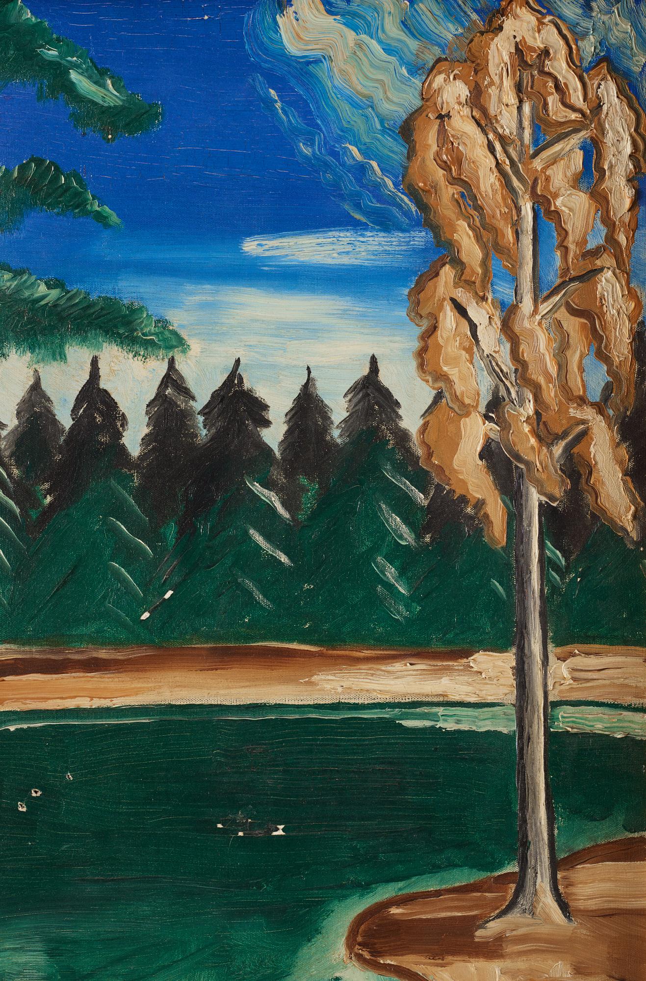 Carl Birger Höög, Skogsvy med granar.