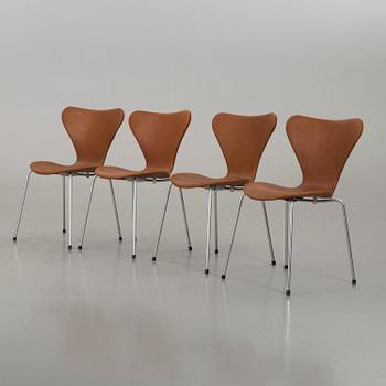 ARNE JACOBSEN, a set of four Series 7 chairs, Denmark later part of the 20th century.