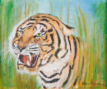 Håkan Brunberg, Tiikeri.