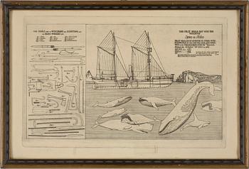 OKÄND KONSTNÄR, etsning, "The First Whale Ship whit the Whalegun", troligen tidigt 1900-tal.