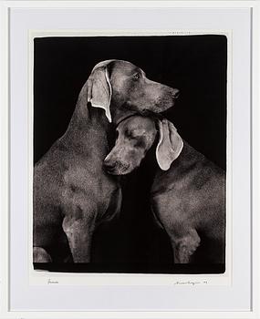 WILLIAM WEGMAN, photograph, signed and dated -09.