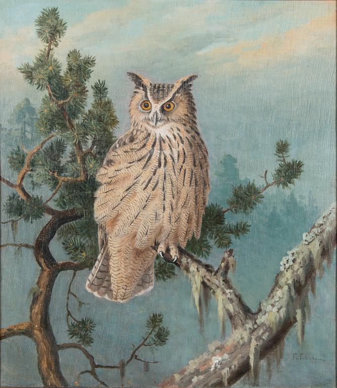 Johan Fredrik Tuhkanen, Eagle-owl.
