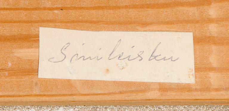 Tapio Soukka, Sinileisku.