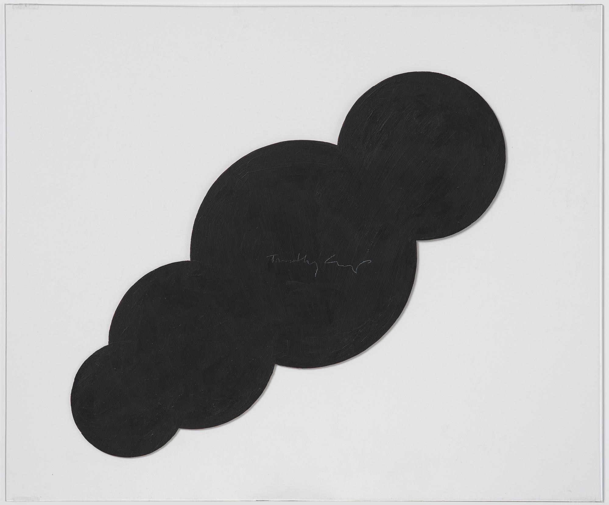 Timothy Crisp, "Lens Flare".