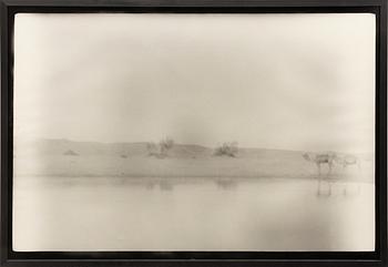 Denise Grünstein, "Blyertskameler", 1999.