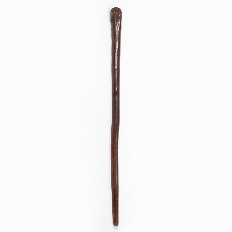 Käpp, möjligen England, 1800-tal.