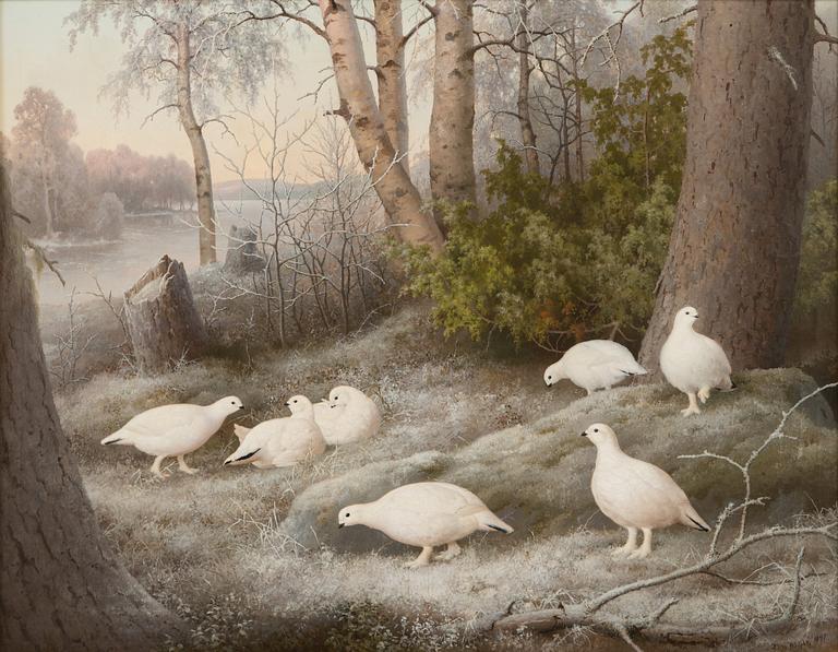 Ferdinand von Wright, Ptarmigans.