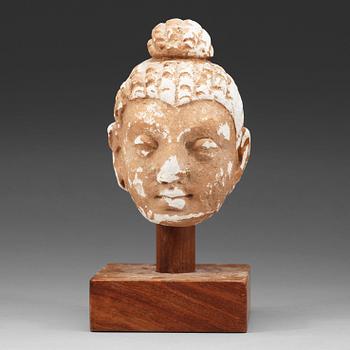 A Gandhara Stucco head of Buddha, 2nd/3rd Century.