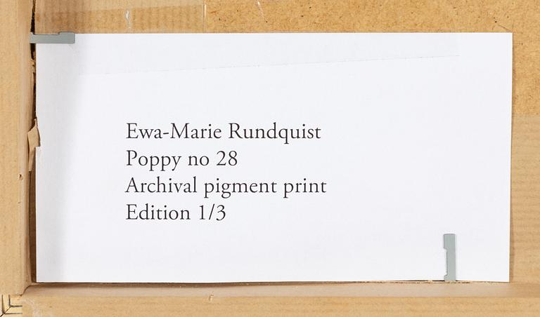 Ewa-Marie Rundquist, "Poppy No. 28", 2015.