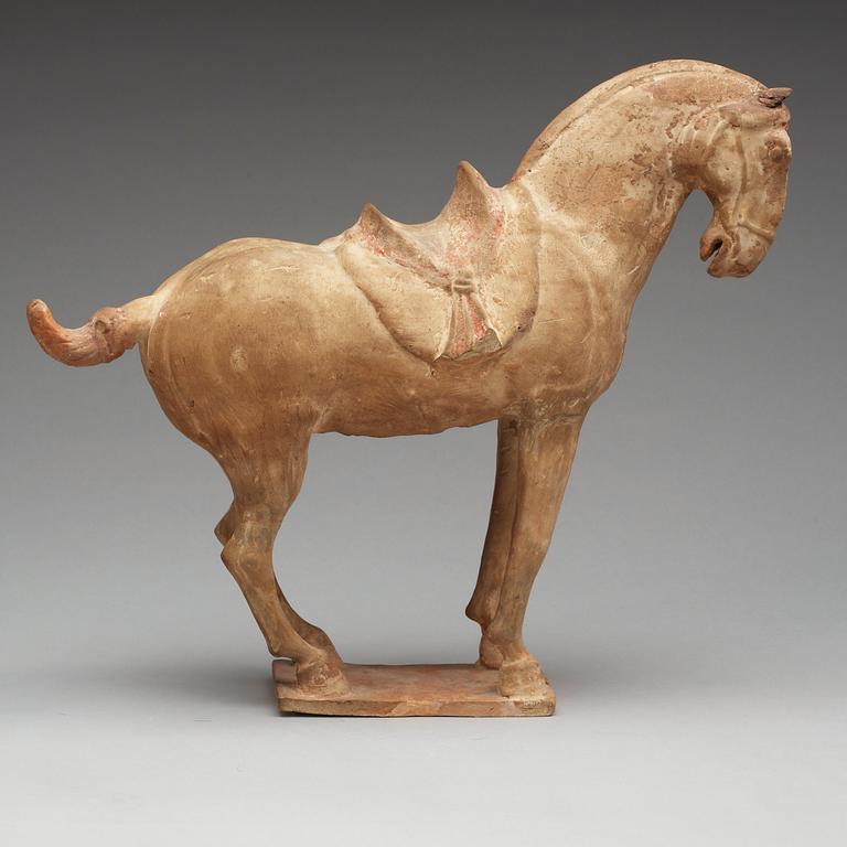 A pottery figure of a horze, Tang dynasty (618-907).